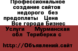 Профессиональное создание сайтов, недорого, без предоплаты › Цена ­ 4 500 - Все города Бизнес » Услуги   . Мурманская обл.,Териберка с.